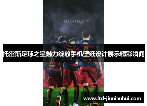 托雷斯足球之星魅力绽放手机壁纸设计展示精彩瞬间